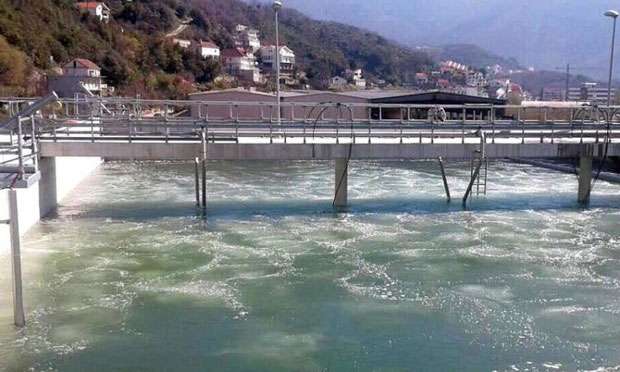 И даље лопатом чисте фекалије